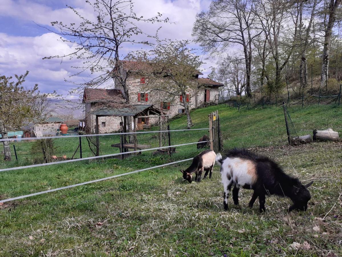 Ca Gennara Agri B&B Porretta Terme Exterior photo
